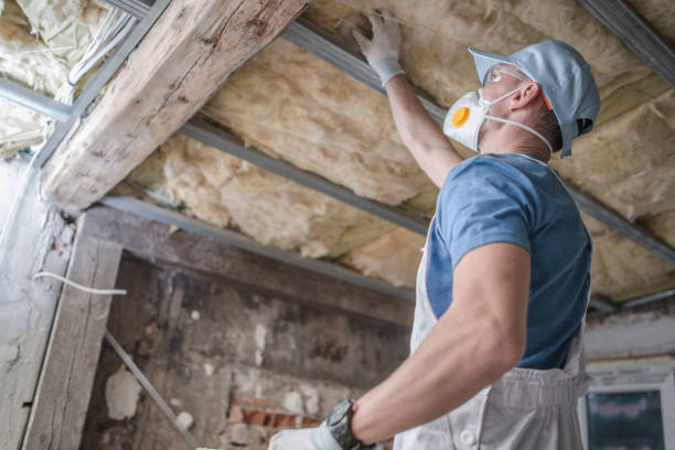 Best Spray Foam Insulation  in Genesee, CO