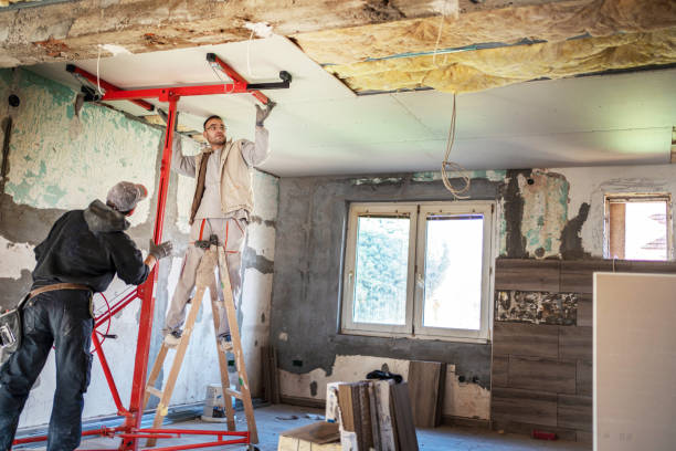 Best Home Insulation Services  in Genesee, CO